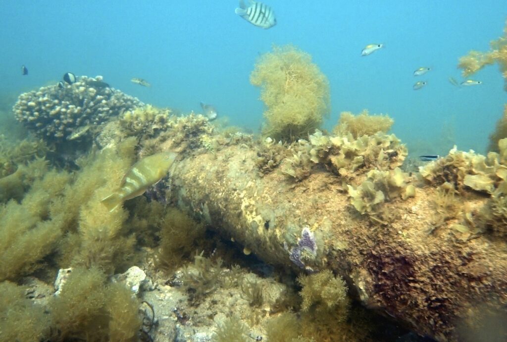 CoRRODE project launched to investigate offshore pipeline degradation